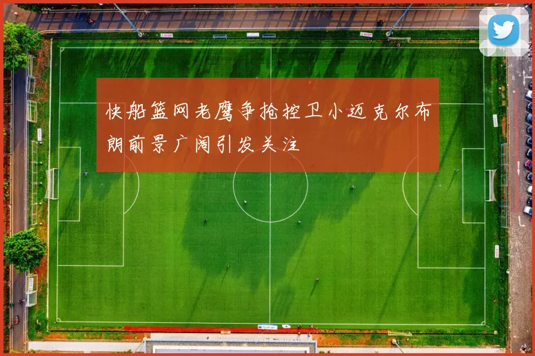 快船篮网老鹰争抢控卫小迈克尔布朗前景广阔引发关注